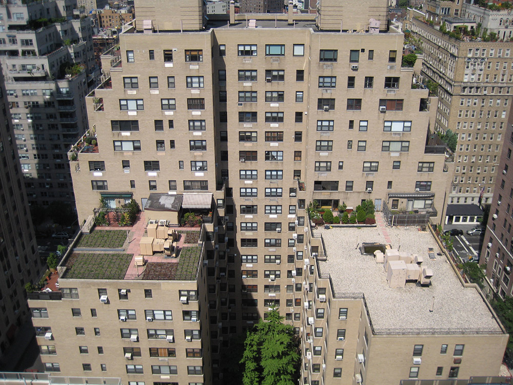 Green Roof